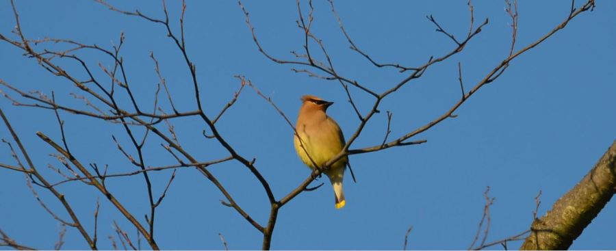 Nature’s Prayer Moment
