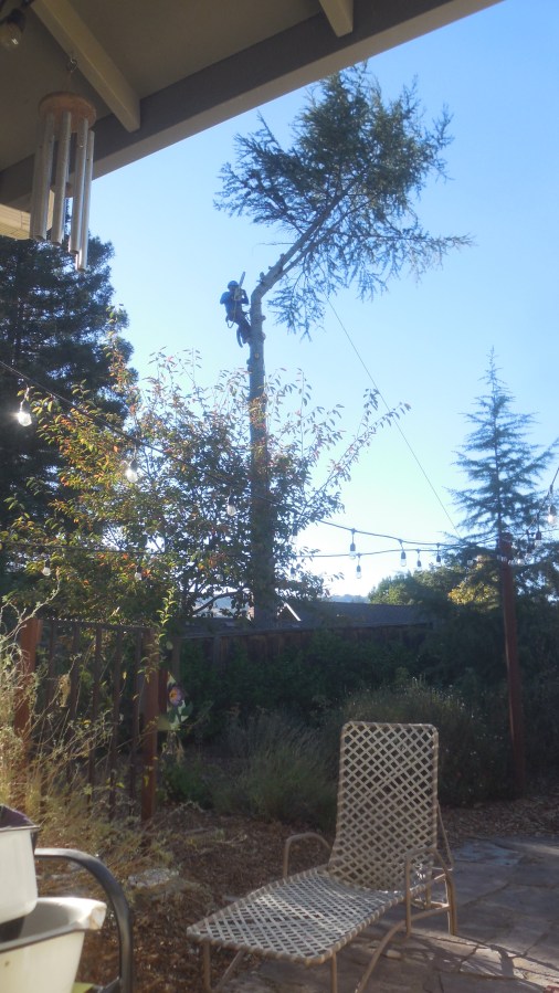 Be Careful What You Wish&nbsp;For