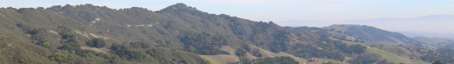 A Different Kind of&nbsp;Flip