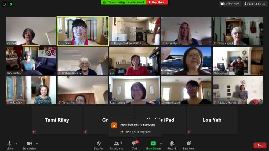 The Rescue Dog Loves a Zoom&nbsp;Meeting