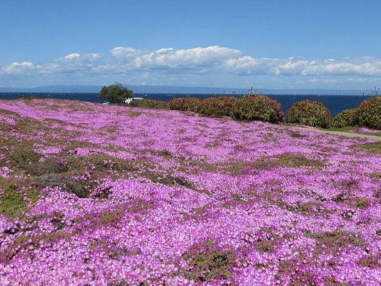 Weekend Thoughts on a Spring&nbsp;Day