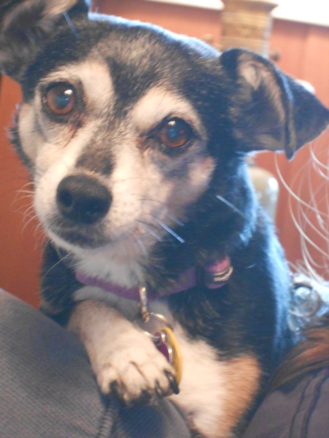 Two Tubs In, One Tub&nbsp;Out