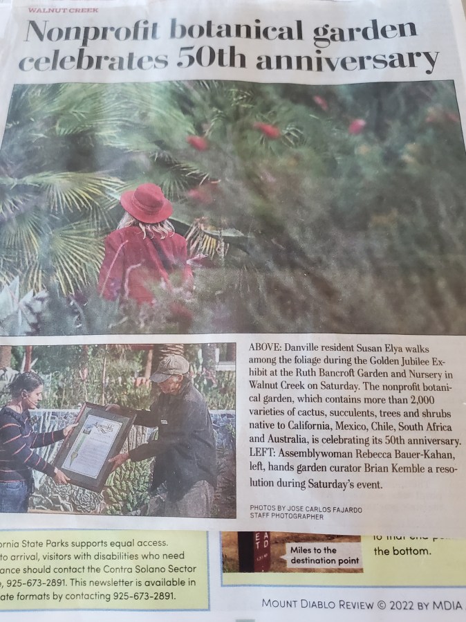 The Crappy Crap Happy&nbsp;Post