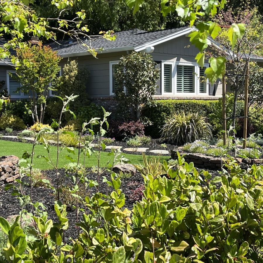 Coming Out of the&nbsp;Fog