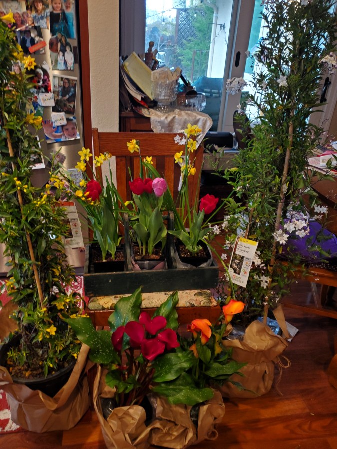 Two Memorial Services in Two&nbsp;Weeks