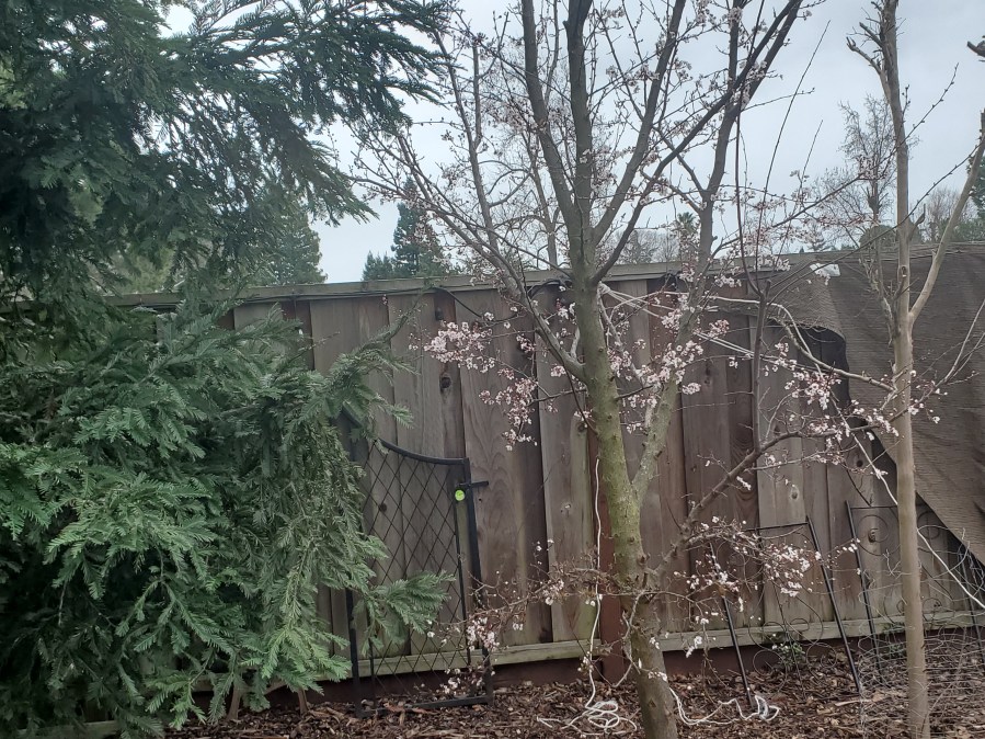 One Week Until Daylight Savings, Two Weeks Until&nbsp;Spring