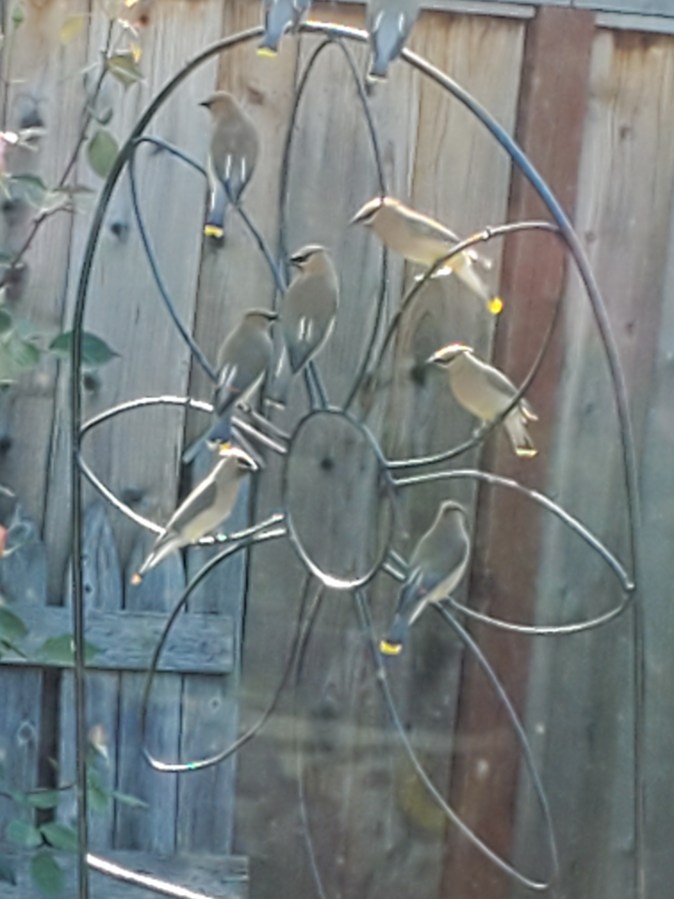 Nature’s Prayer Moment