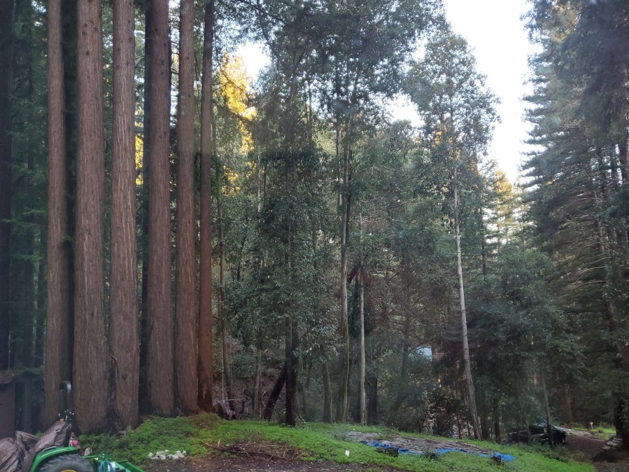 The Old Ladies Are&nbsp;Farting