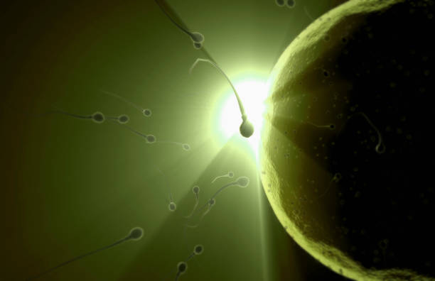 X Marks the Spot, A Genetics&nbsp;Story